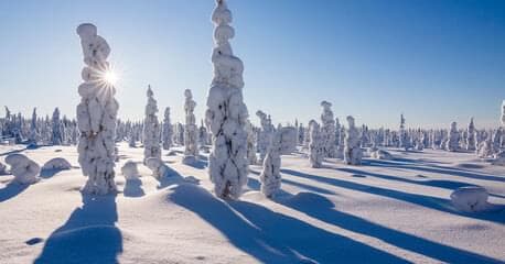 Ruta Boreal: de Tromso a Rovaniemi : Las tres Laponias - Semana de Turismo - Imagen 1