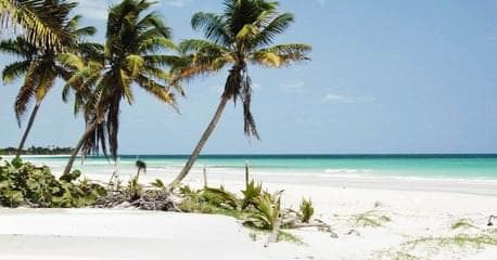 Riviera Maya - All Inclusive / Verano - Imagen 4