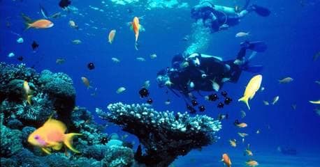 Bayahibe - All Inclusive - Imagen 1